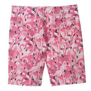 Hurley Men's Flamingo Boardshort